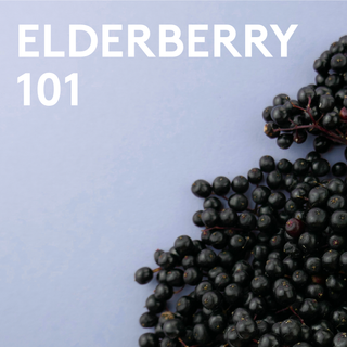 Elderberry - How These Potent Berries Can Support Your Immune System