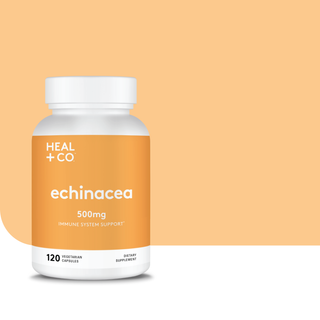 Echinacea 101 - 6 Science-Backed Benefits of Echinacea