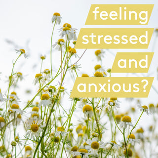 The Best Natural Remedies for Anxiety and Stress