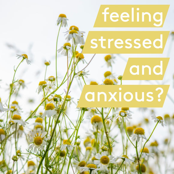 The Best Natural Remedies for Anxiety and Stress – Heal + Co.