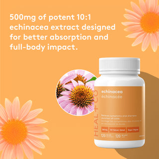 echinacea