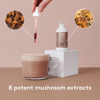 8 mushroom immunity tincture