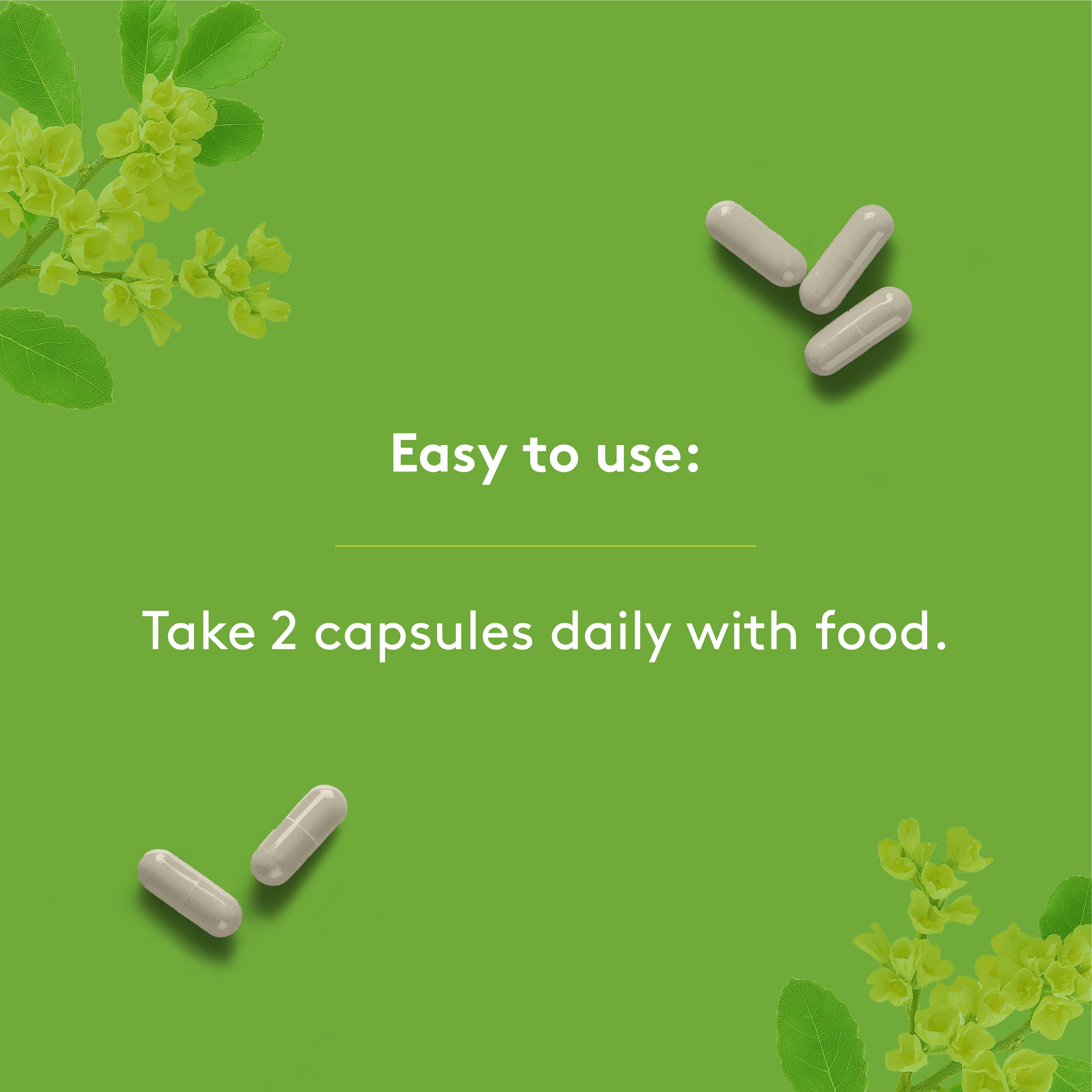 joint support complex