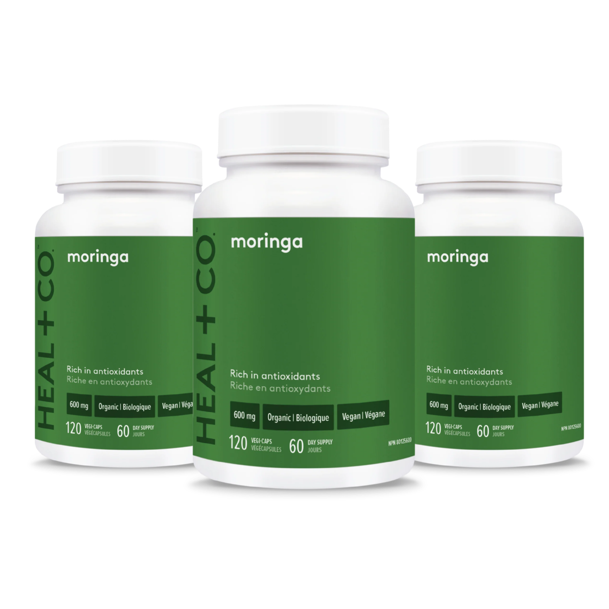 Moringa Bundle